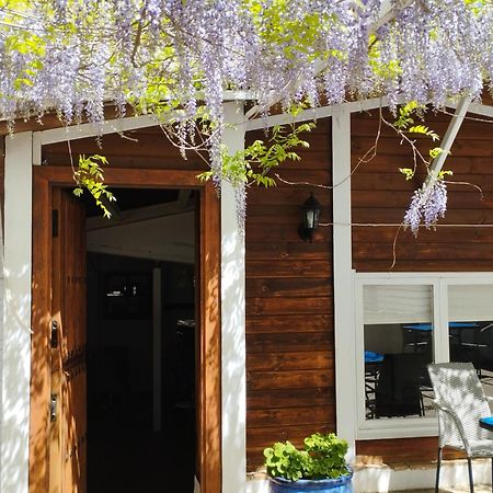 Hotel Finca Aldabra 피노스제닐 외부 사진