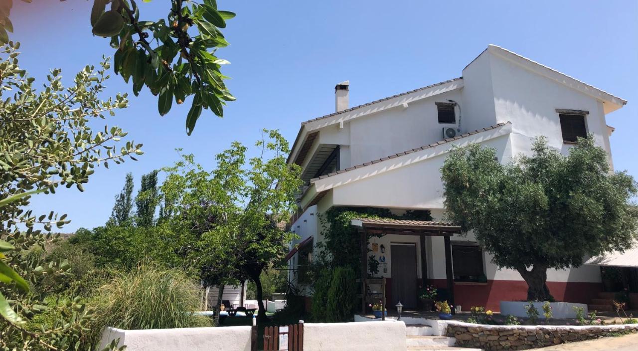 Hotel Finca Aldabra 피노스제닐 외부 사진