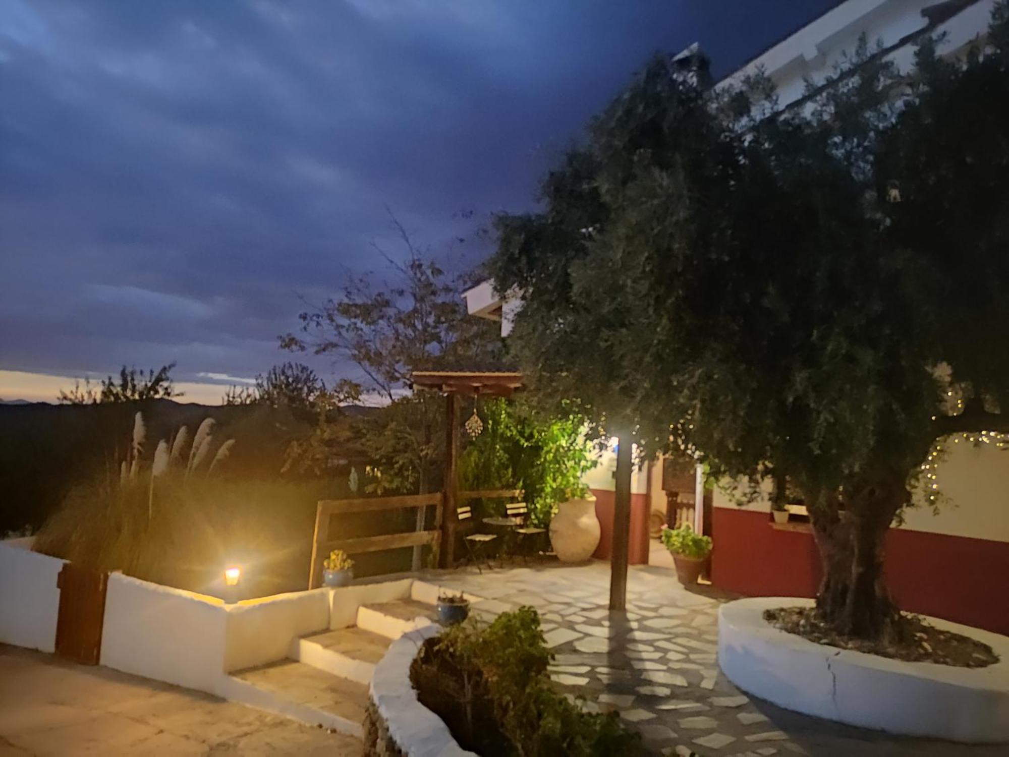 Hotel Finca Aldabra 피노스제닐 외부 사진