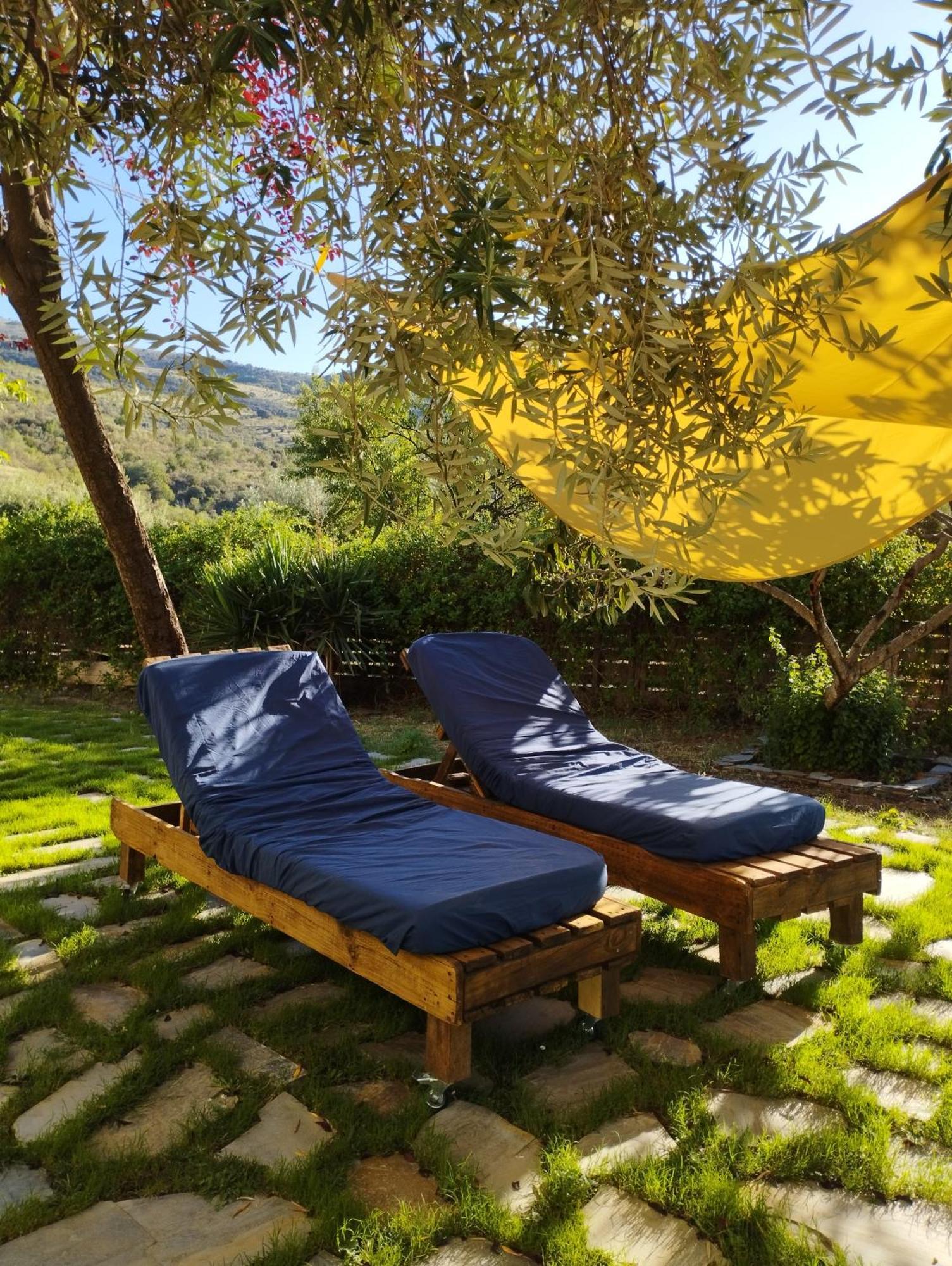 Hotel Finca Aldabra 피노스제닐 외부 사진