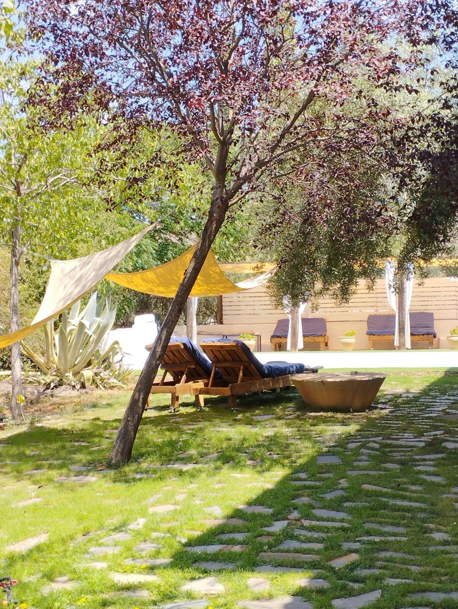 Hotel Finca Aldabra 피노스제닐 외부 사진